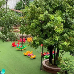 Trường Mầm Non Doremon - Diêu Trì - Tuy Phước