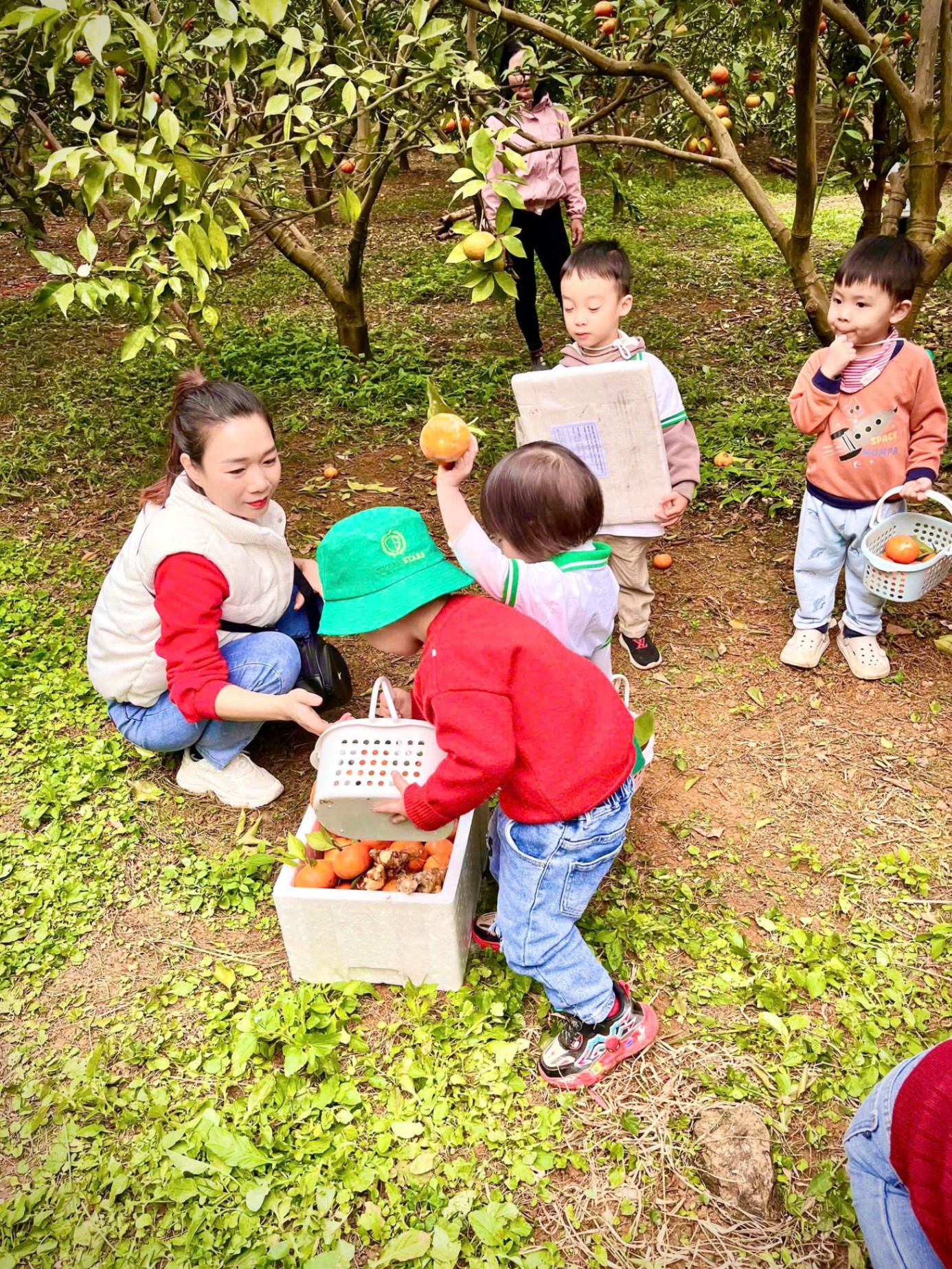 Trường Mầm Non Green Stars - Hoà Bình