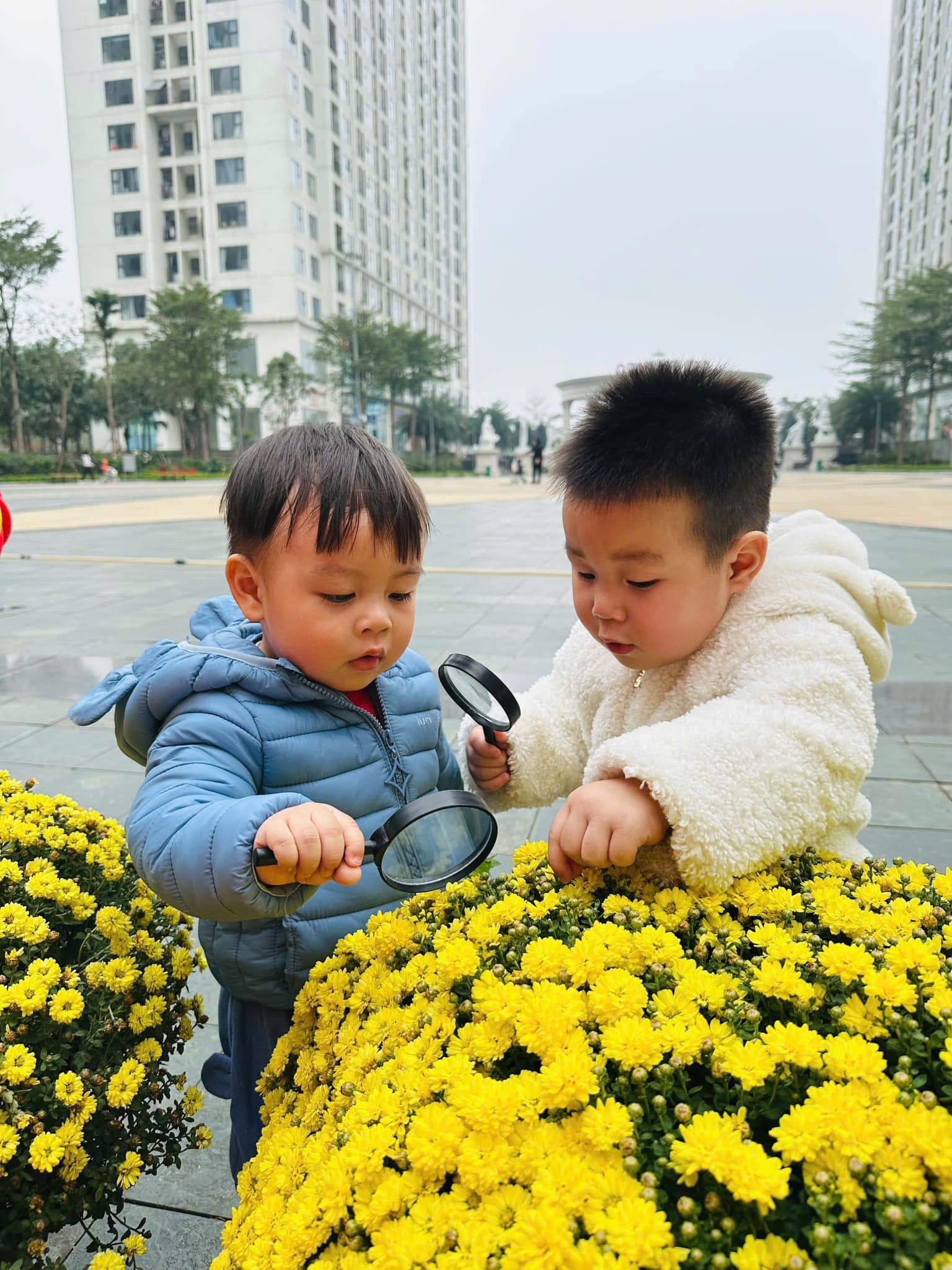 Trường Mầm non Greenery Kindergarten - Cổ Nhuế 1