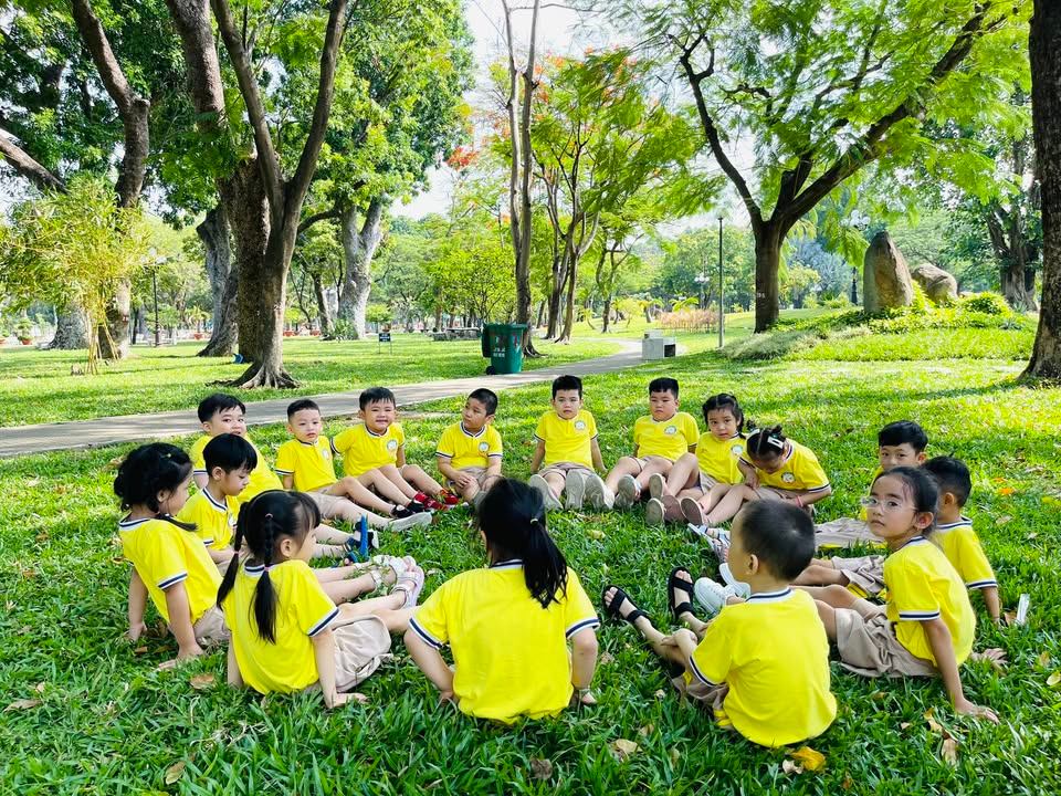 Trường Mầm non Hạt Đậu Nhỏ - Tân Bình