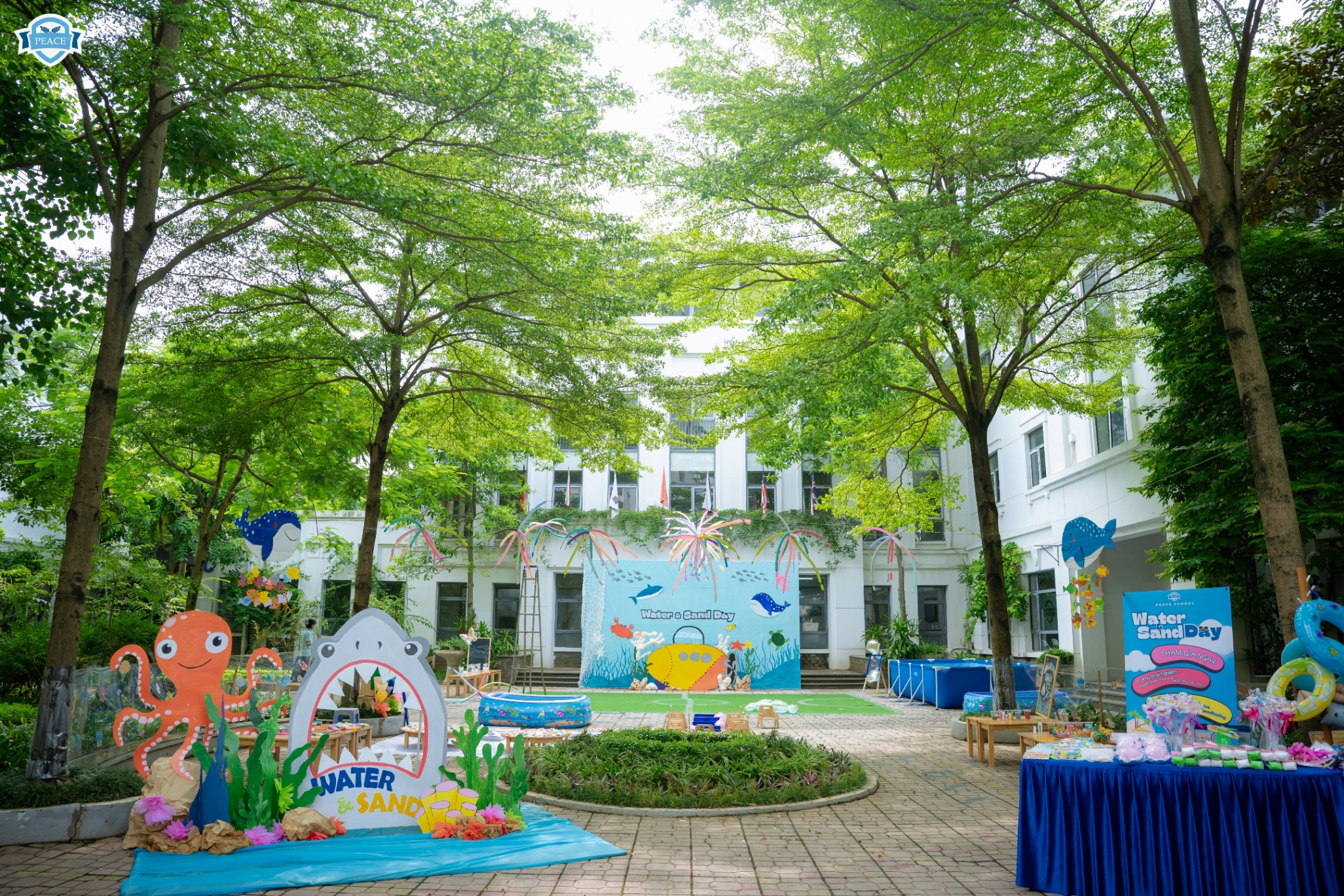 Trường Mầm Non Peace School - Trung Hòa