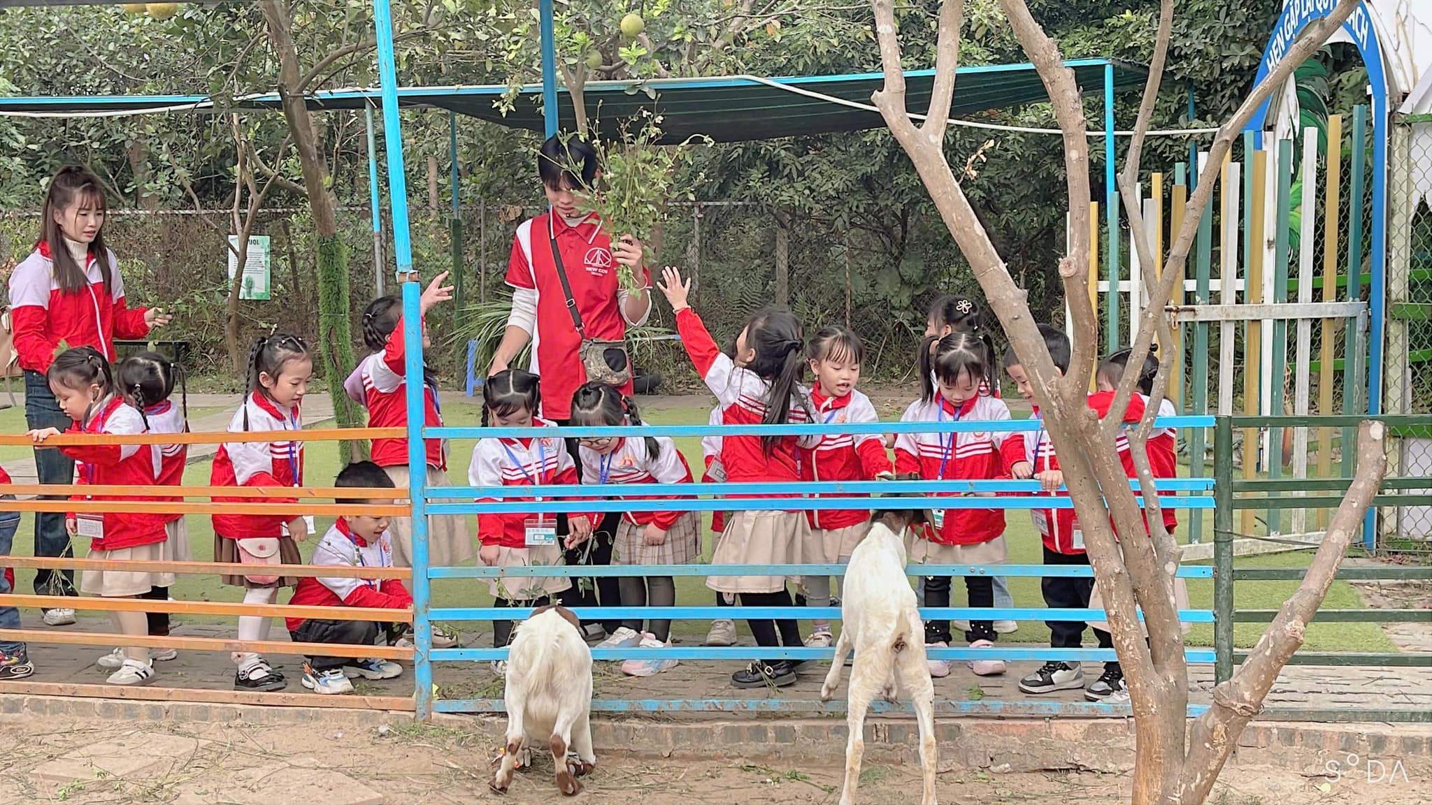 Trường Mầm non Hoa Hướng Dương Baby - Yên Mỹ