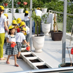Trường mầm non Hoa Mai - Bình Trị Đông B
