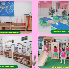 Trường Mầm Non Hoa Sen Montessori - Phường Bình An