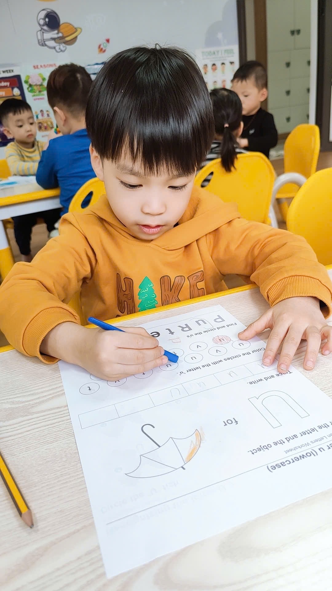 Trường Mầm non Kiddy Academy - Việt Trì