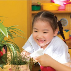 Trường mầm non Koala House - Trung Văn