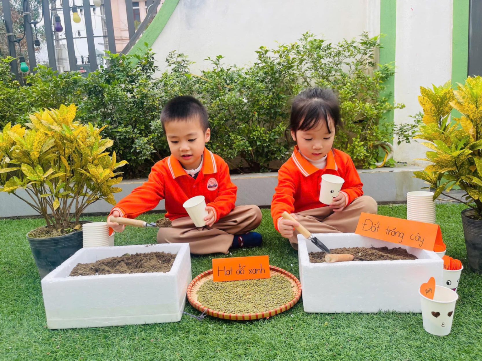 Trường Mầm Non Korea Sunkids - Quán Bàu