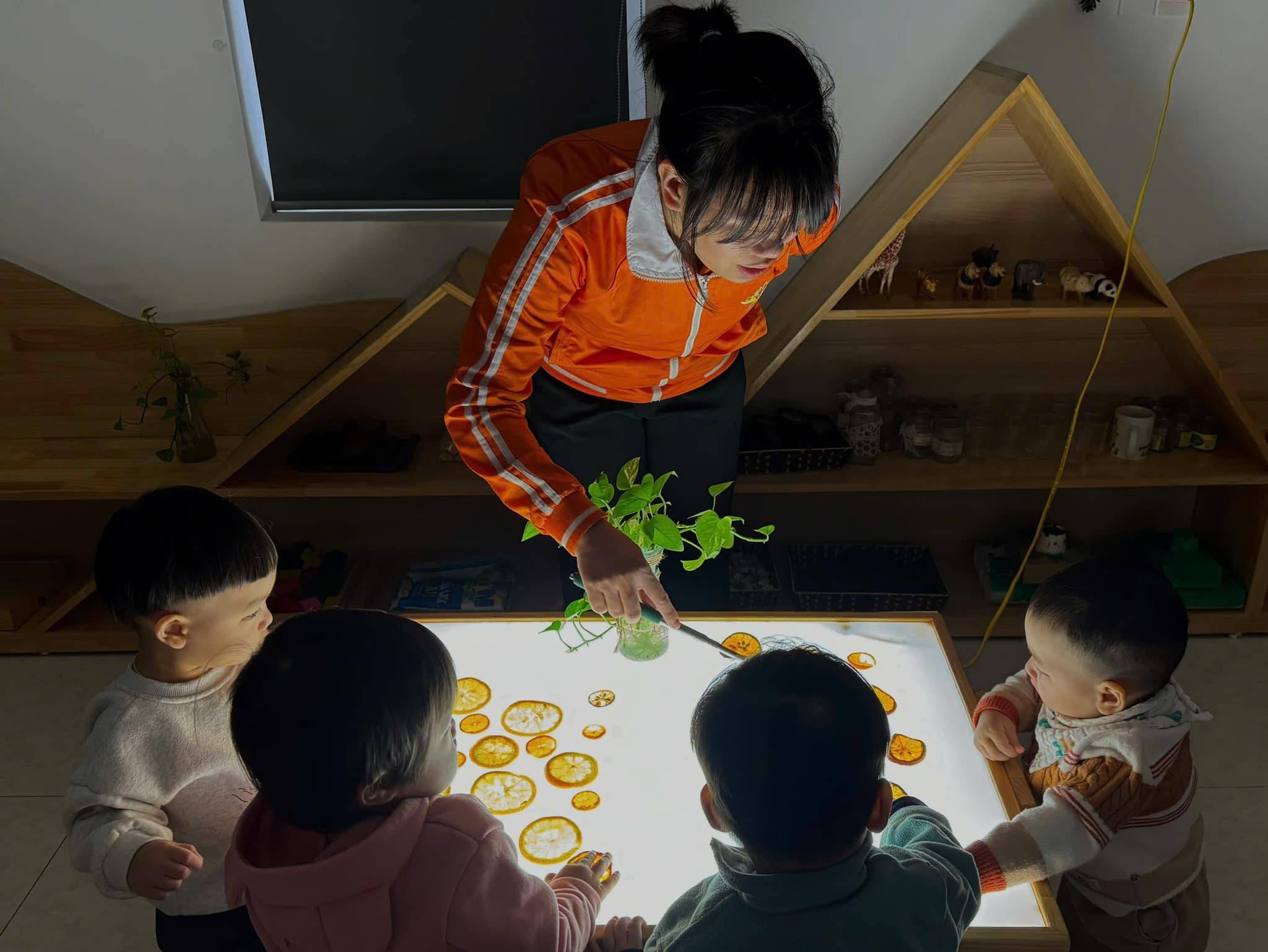 Trường Mầm non Little Friends - An Khánh