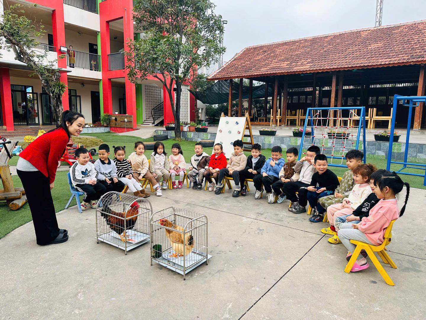 Trường Mầm non Little House - Cẩm Thuỷ