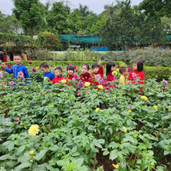Trường Mầm Non Map Montessori - Cầu Giấy