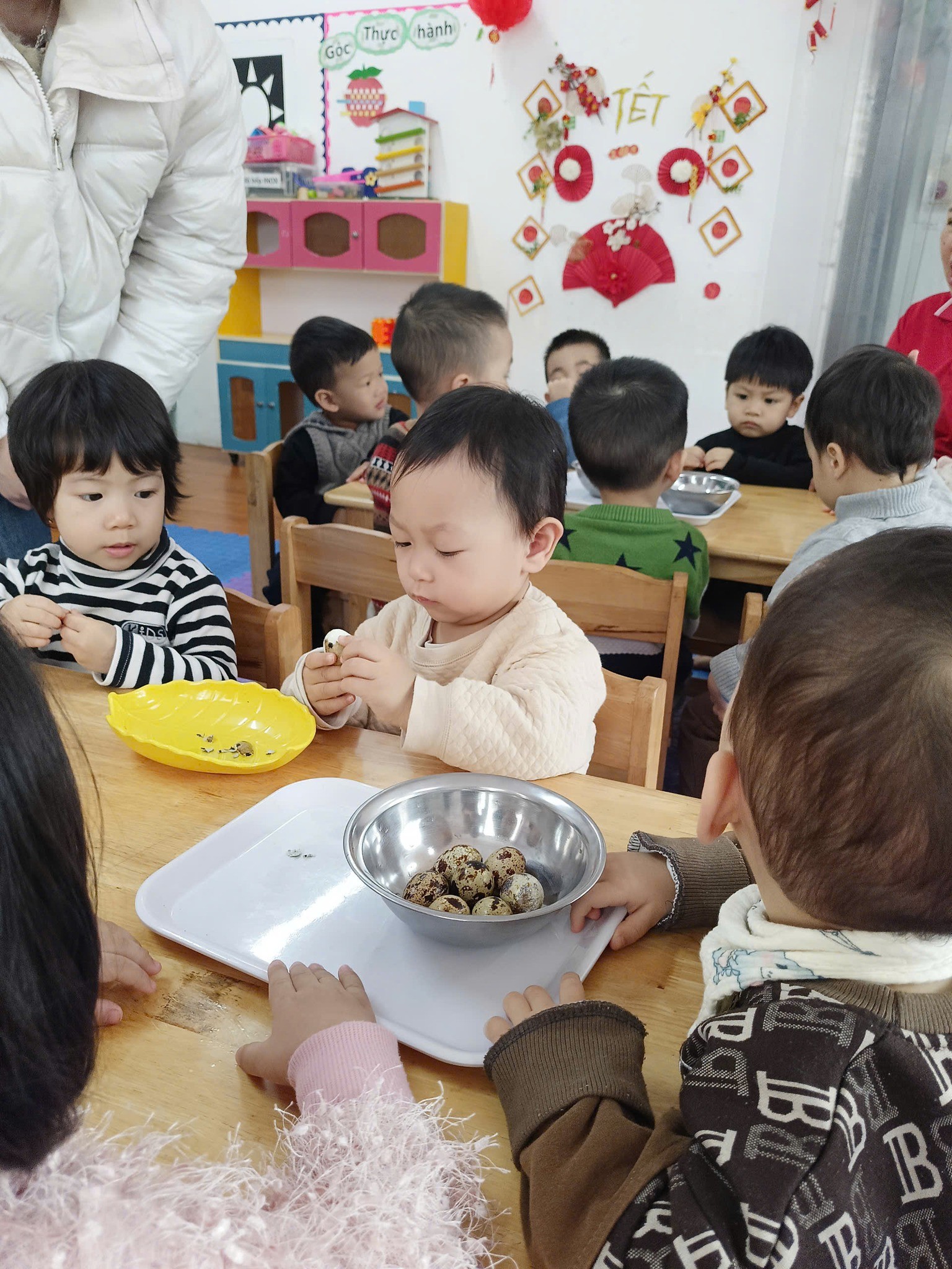Trường Mầm Non Người bạn nhỏ - Montessori Little Friends - Trâu Quỳ