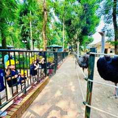 Trường mầm non Qibi Montessori - Giáp Nhị