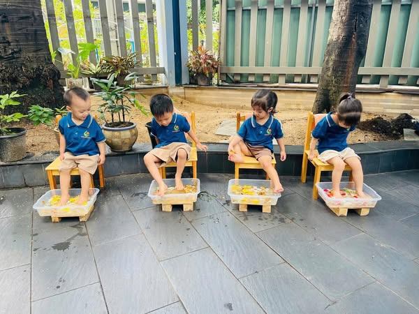 Trường Mầm non QTreo Reggio Emilia Inspired Preschool - Tân Tiến