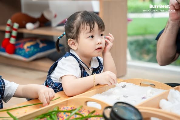 Trường Mầm Non Quốc Tế Busy Bees (Busy Bees Global Preschool) - Trung Hoà