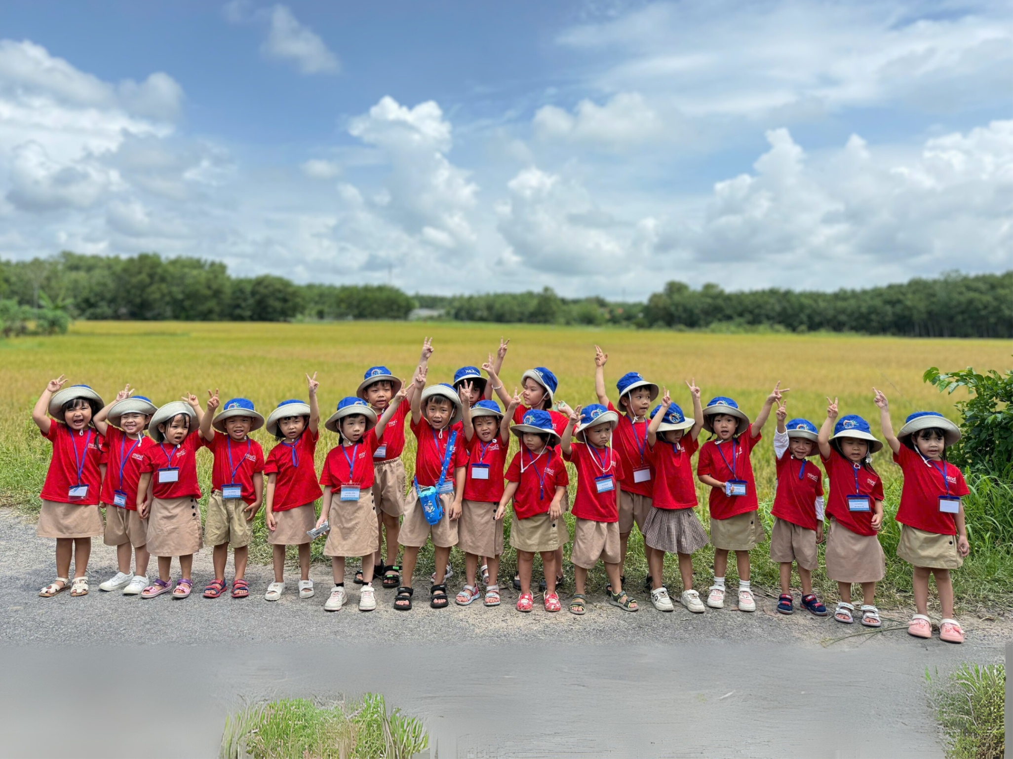 Hệ Thống Mầm Non MindX Preschool - CN Nguyễn Duy Trinh Quận 2