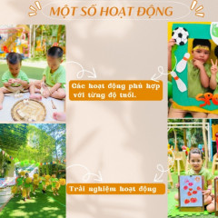 Mầm Non Sơn Ca - Trần Quang Diệu, Bình Định