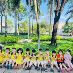 Trường Mầm Non Sunflower Garden - Phú Mỹ