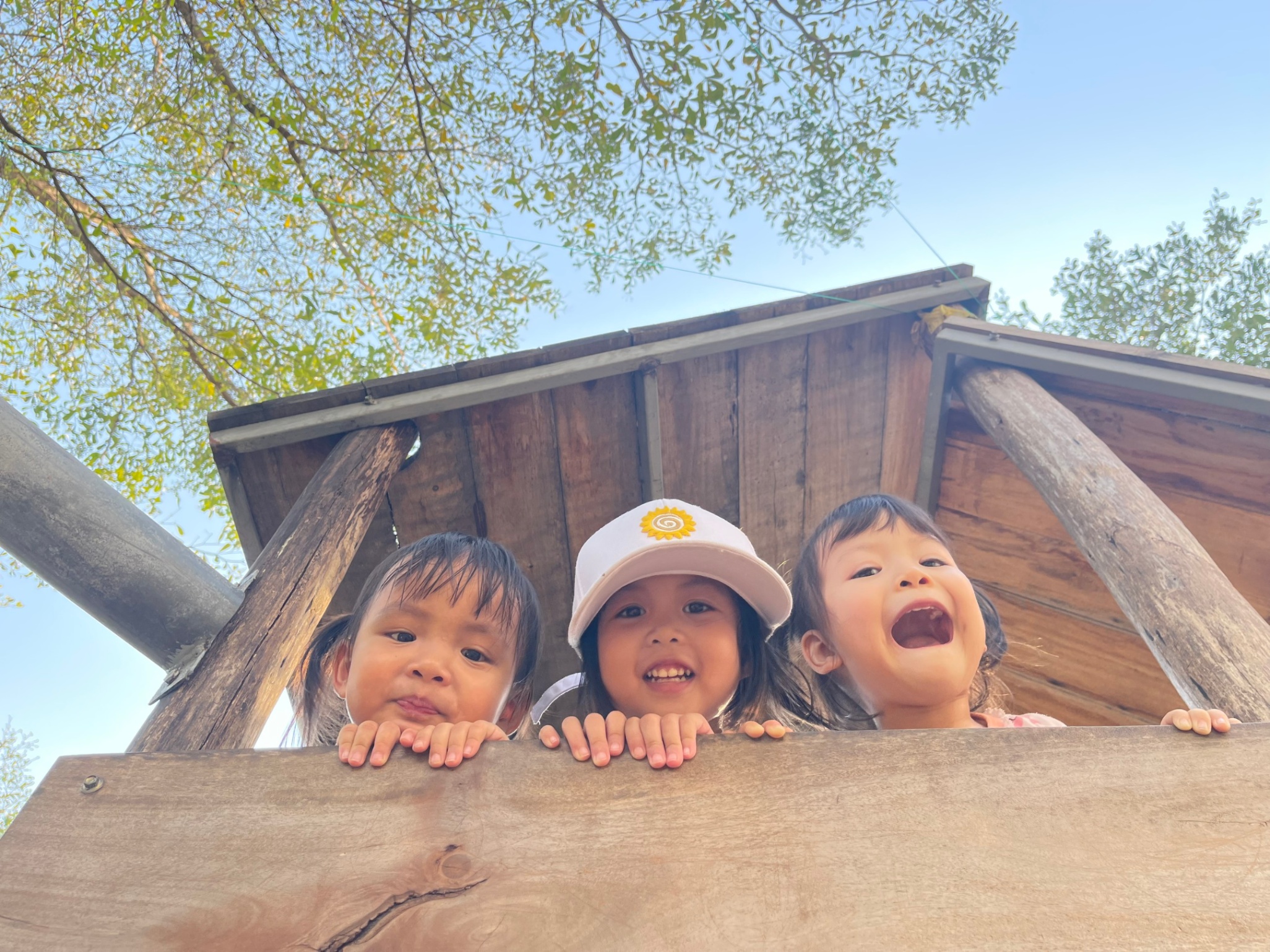 Trường Mầm Non Hoa Hướng Dương (Sunflower Steiner Kindergarten) - Hòa Cường Bắc