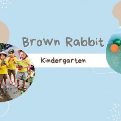 Trường mầm non Thỏ Nâu - Tân Túc