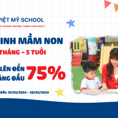 Trường Mầm Non - Tiểu Học Việt Mỹ - KDC Tân Đông Hiệp