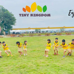 Trường Mầm non Tiny Kingdom - Bình Trưng Tây