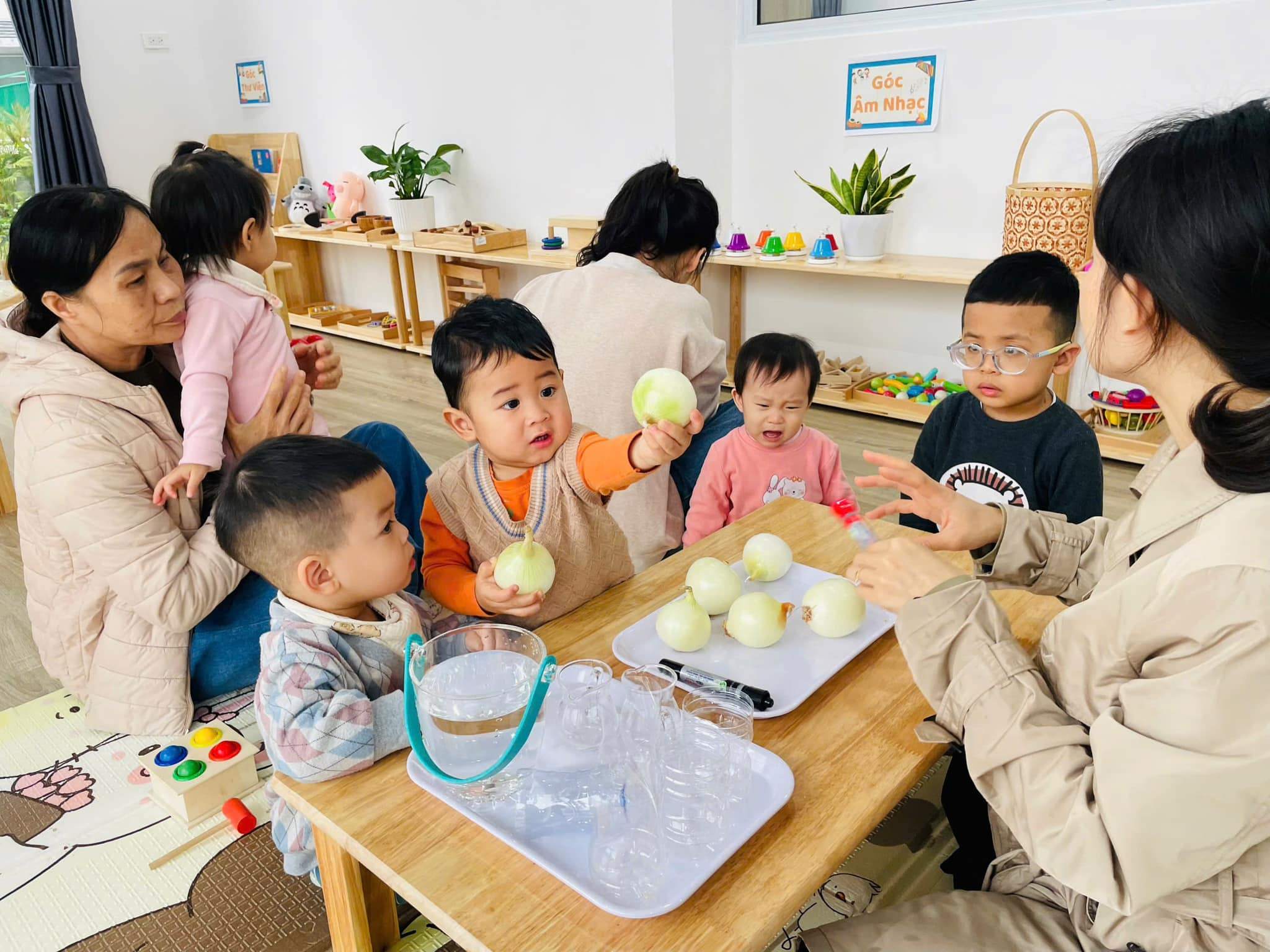 Trường Mầm non TMon School (TMS) - Tây Mỗ