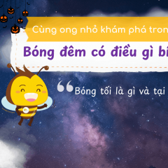 Trường Mầm non Tổ Ong Vàng - Cao Lãnh