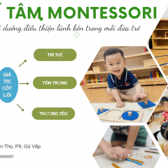 Mầm Non Trí Tâm Montessori Kindergarten - Phường 9