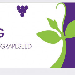 Trường Mầm Non Tư Thục Hạt Vừng - Đào Tấn