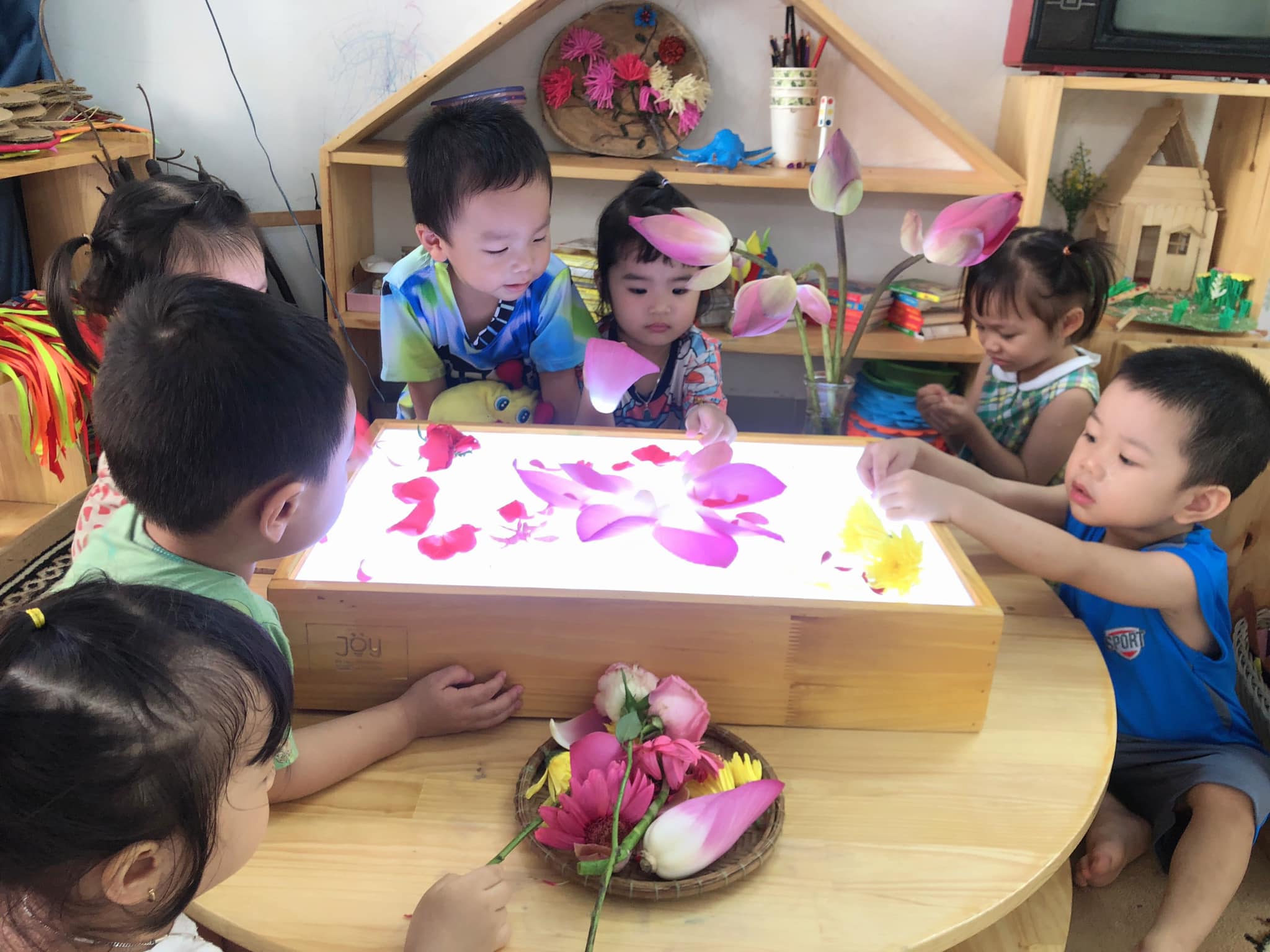 Trường Mầm Non Tuổi Thơ - Quy Nhơn