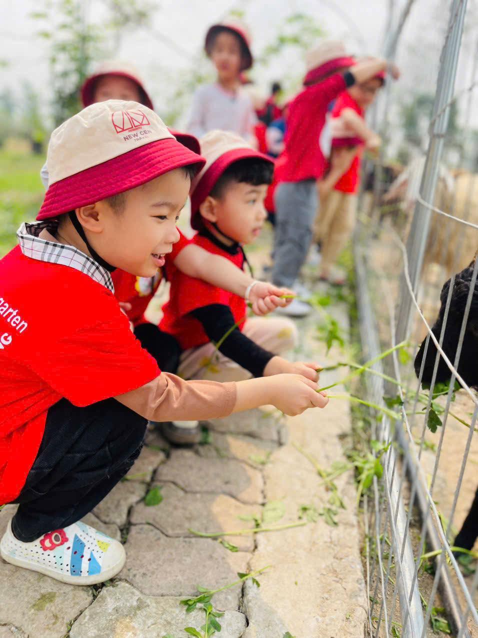 Trường Mầm non Vườn Hồng - Trung Văn