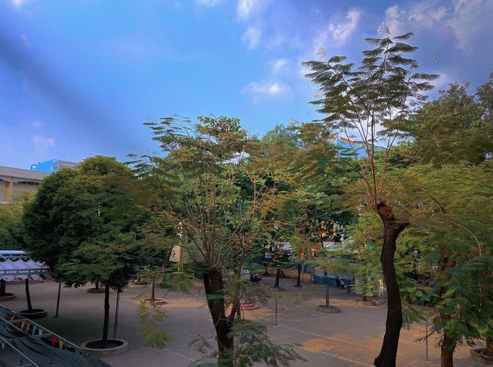 Trường THCS Trần Quang Khải - Quận 12