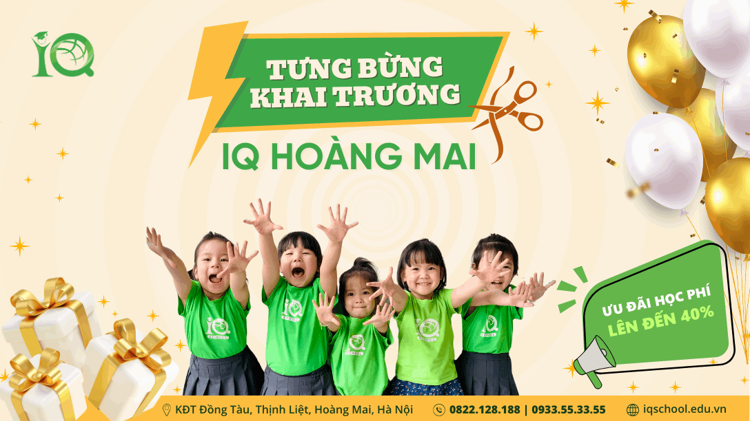 Trường tiểu học IQ School - Lê Lai, Hà Đông