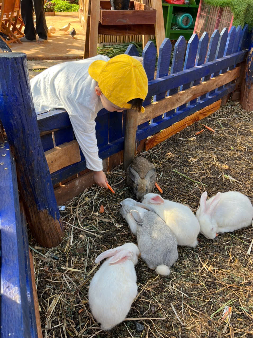Image 12