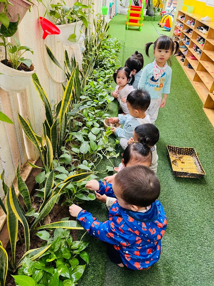 Cơ cở vật chất
