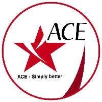 Trung Tâm Ngoại Ngữ ACE - Hải An