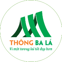 Giáo dục Thông Ba Lá - Can thiệp trẻ có nhu cầu đặc biệt và can thiệp sớm