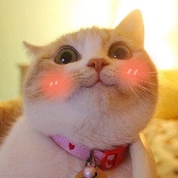 Avatar của reviewer