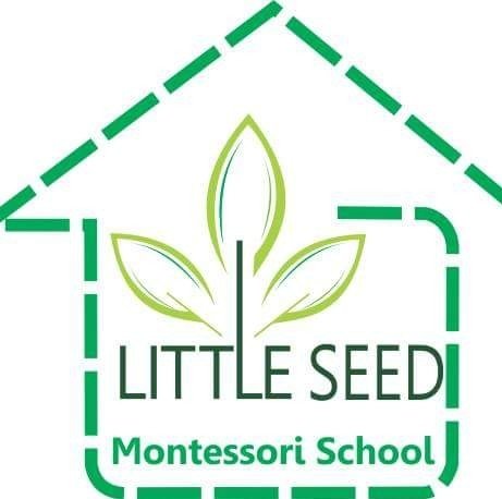 Trường mầm non Hạt Mầm Nhỏ (Little Seed Montessori School) - Trần Đại Nghĩa