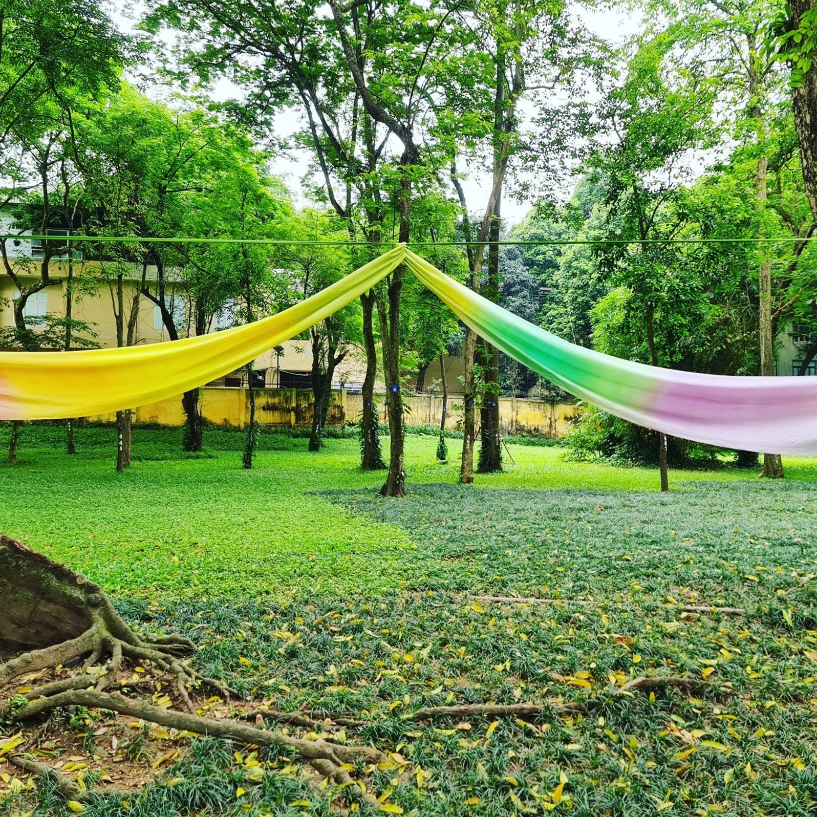 Trường tiểu học Nila Ha Noi Primary School - Yên Phụ