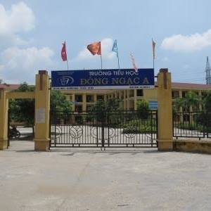 Trường Tiểu học Đông Ngạc A - Đông Ngạc
