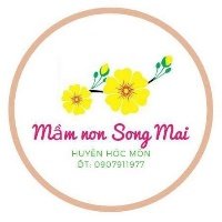 Trường mầm non Song Mai - Thới Tam Thôn