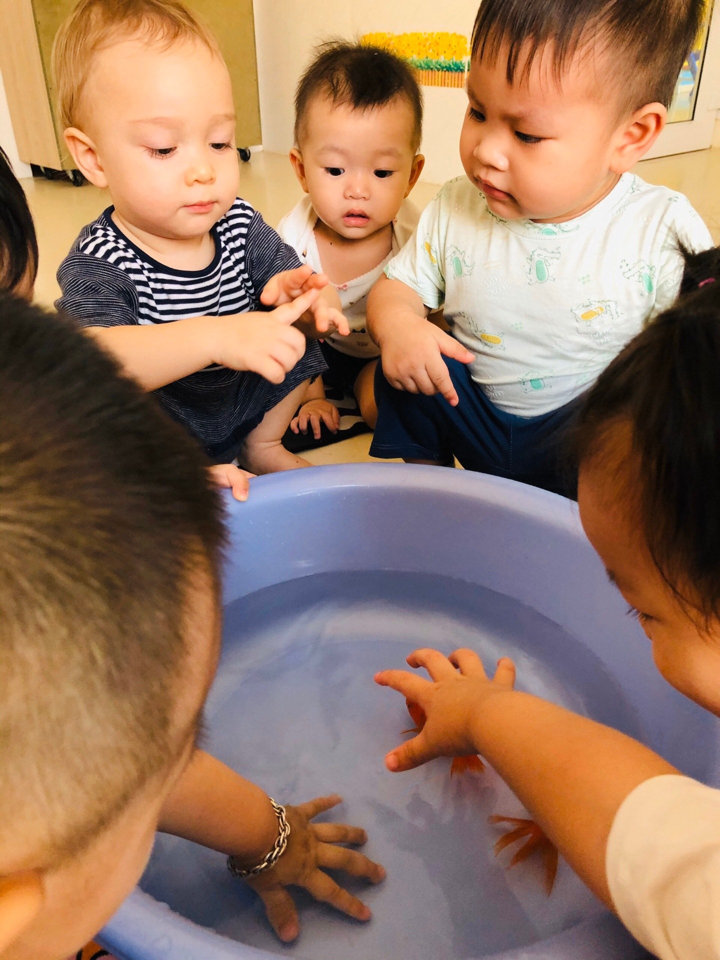 Đội ngũ giáo viên