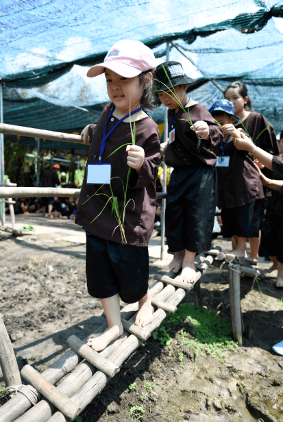 Dịch vụ và tiện ích