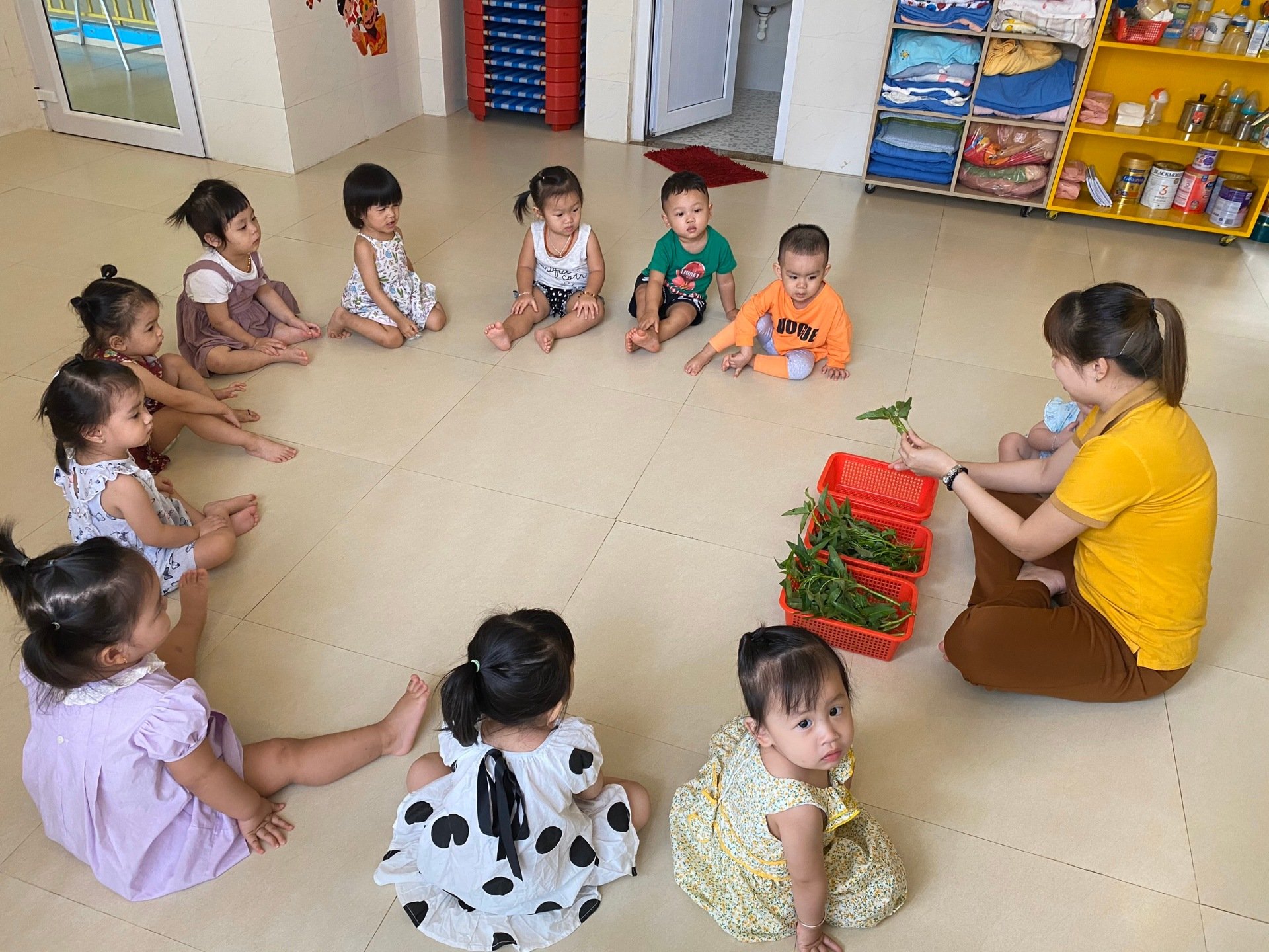 Chương trình học