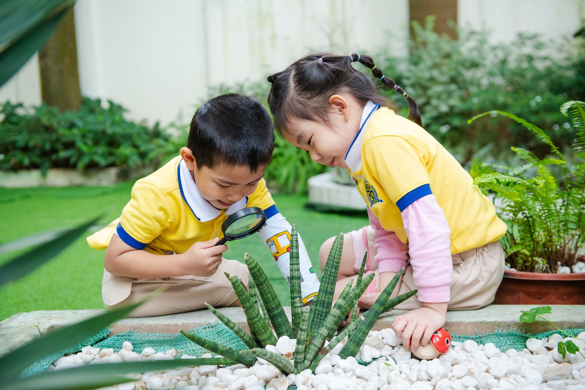 Dịch vụ và tiện ích