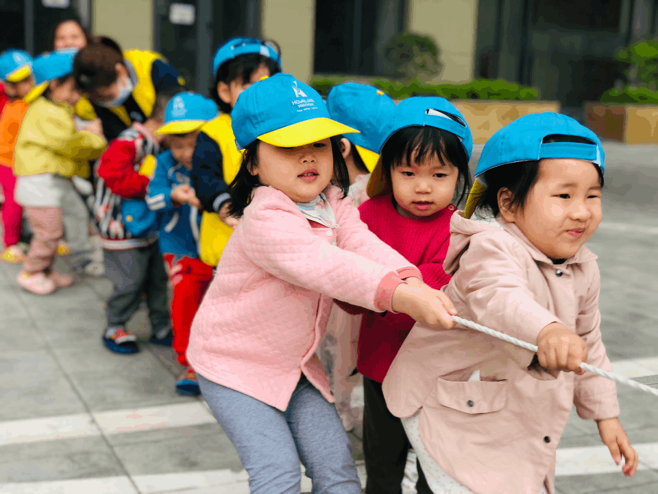 Chương trình học