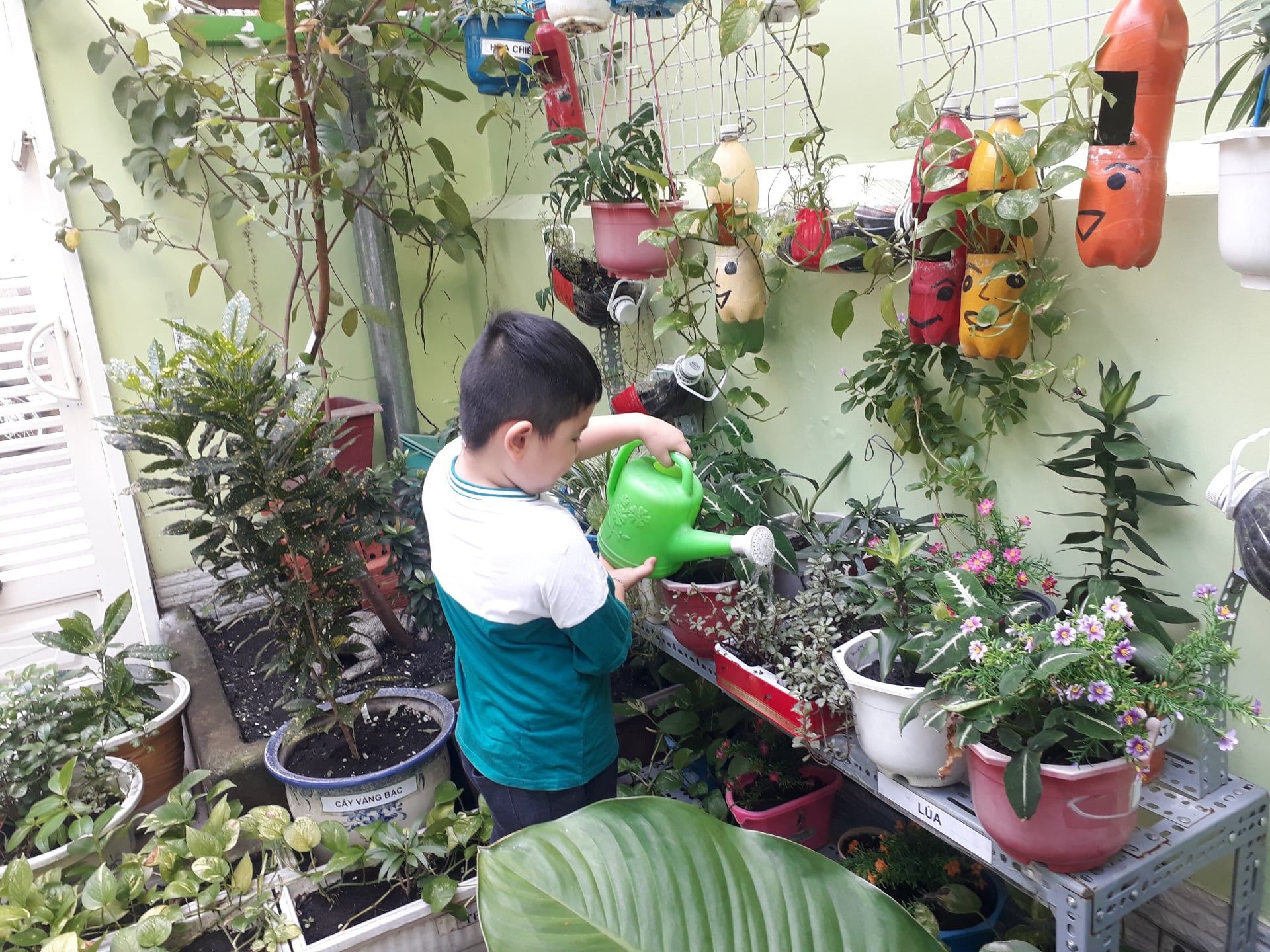 Chương trình học