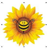 Trường mầm non Ong Vàng - Huỳnh Thúc Kháng