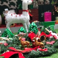 Trường mầm non tư thục Hoa Thủy Tiên - Nam Dư